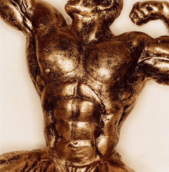 Click for sizes / editions / prices. Brian Finke, Untitled (Bodybuilding 53)