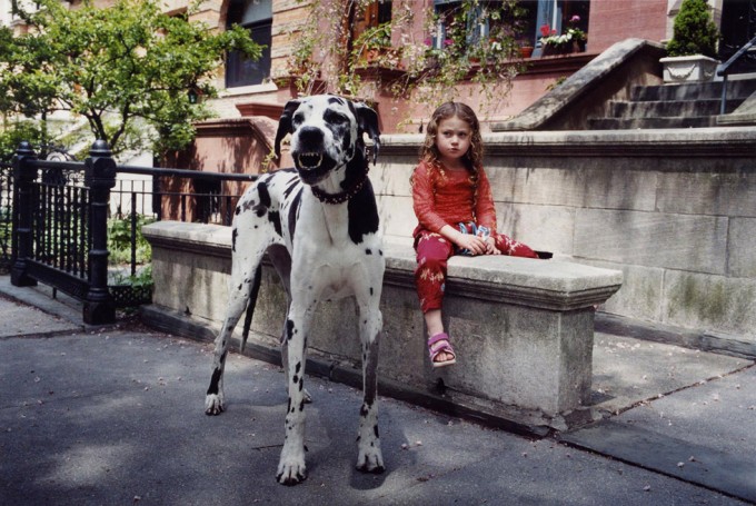 Click for sizes / editions / prices. Robin Schwartz, Great Dane