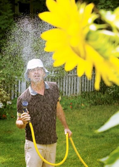Frank Yamrus, untitled (Sunflower)