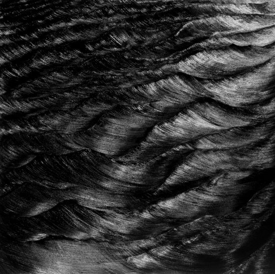 Karen Gunderson, All In a Moment