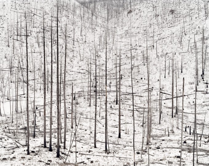 Click for sizes / editions / prices. David Nadel, Burn #2