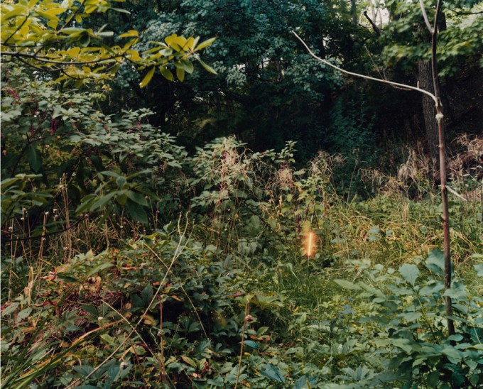 Click for sizes / editions / prices. Ahndraya Parlato, Untitled (from Inscapes)