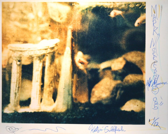 Mark Morrisroe, Katy's Goldfish