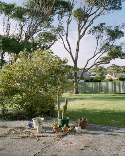 Amy Stein, Plants, Mollymook