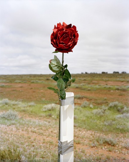 Amy Stein, Red Rose Road Marker, Road to Broken Hill