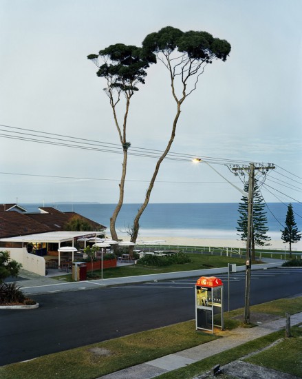 Amy Stein, Two Tall Trees, Mollymook