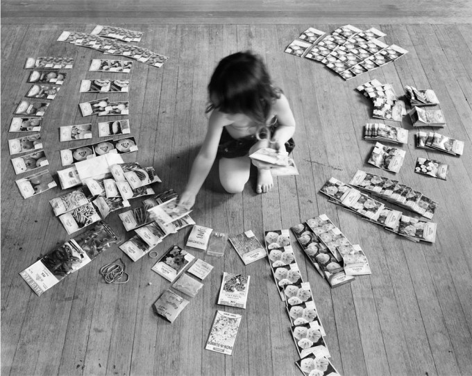 Click for sizes / editions / prices. Scott Alario, Sorting Seeds
