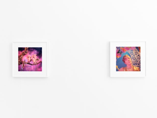 Brightly lit gallery with colorful, surreal portraits in white frames displayed along stark white walls.
