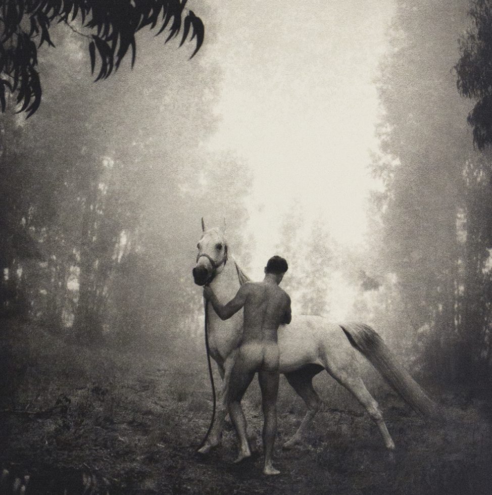 Groom with Arabian Stallion by Arthur Tress