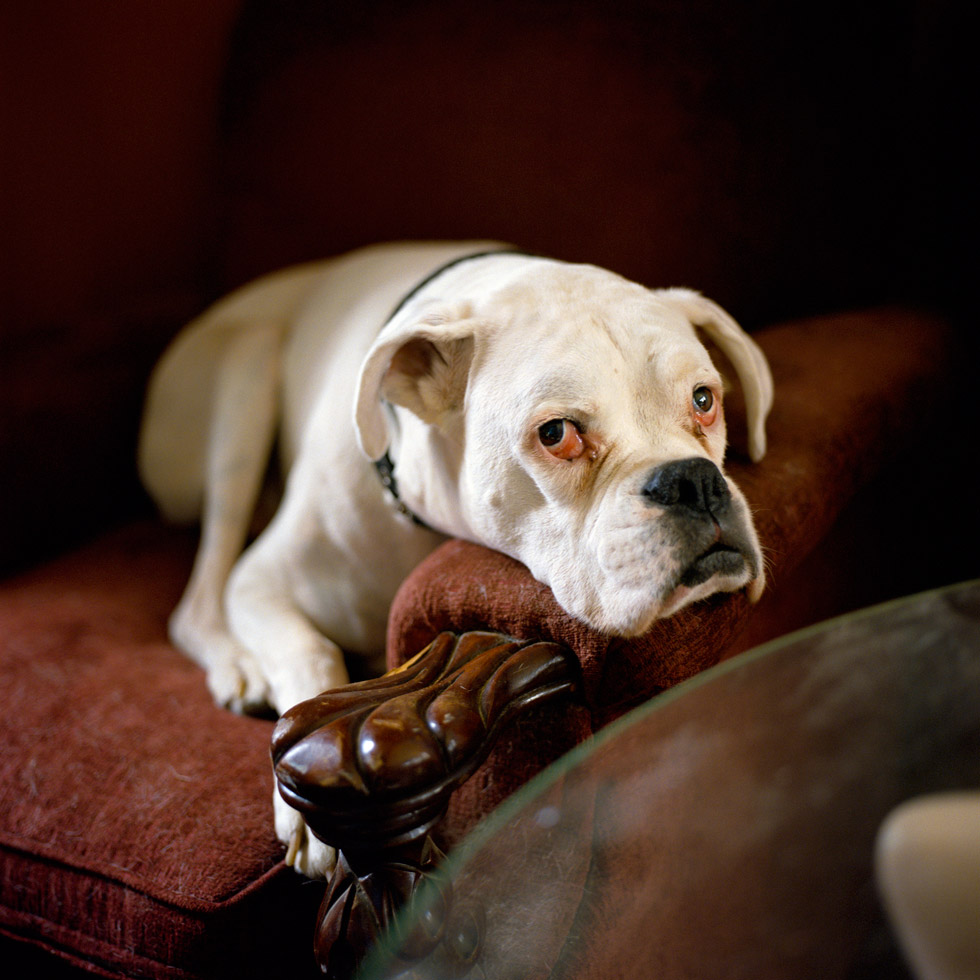 Dave Anderson, Pinky by 