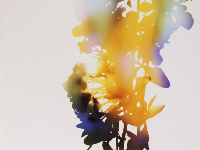 This is a colorful photogram of the silhouette of a bunch of flowers on a bright background.