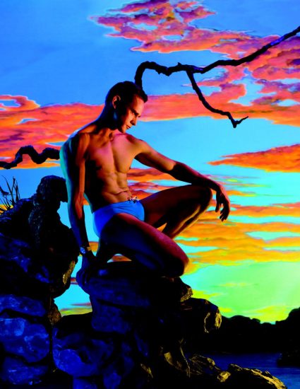 A photograph by James Bidgood of a man in a blue speedo by a tree branch against a multicolored sunset