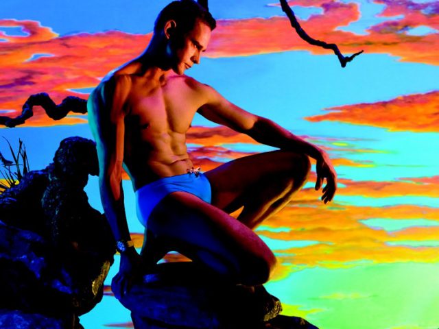 A photograph by James Bidgood of a man in a blue speedo by a tree branch against a multicolored sunset