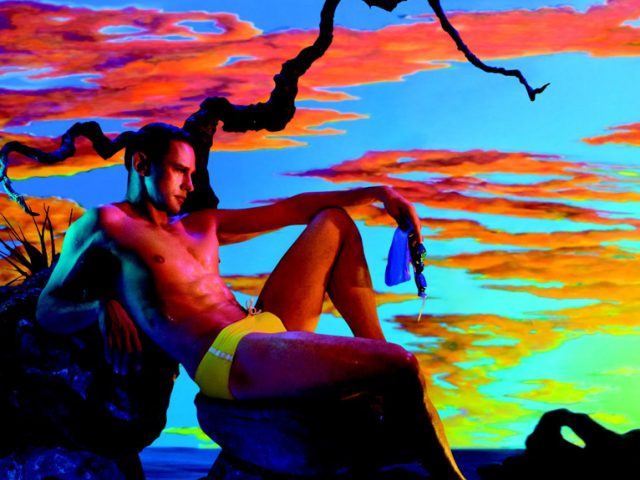 A photograph by James Bidgood of a man in a yellow speedo by a tree branch against a multicolored sunset