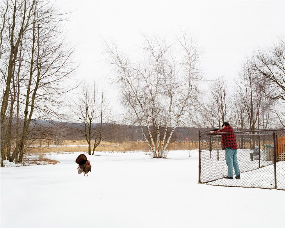 Backyard by Amy Stein