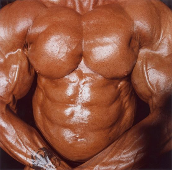 Click for sizes / editions / prices. Brian Finke, Untitled (Bodybuilding 17)