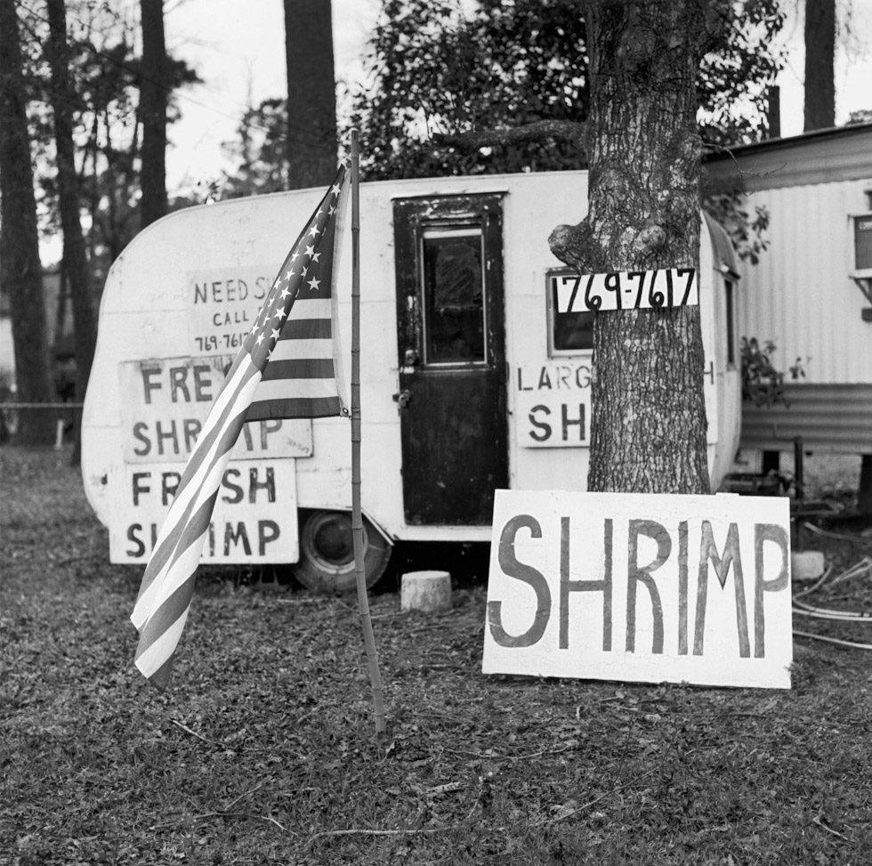 Call Dot for Shrimp by Dave Anderson