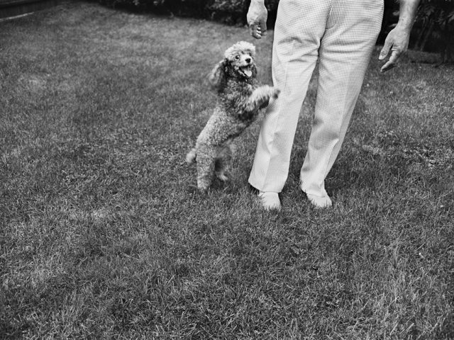 This is a black-and-white photograph of a poople jumping up on a person's leg wearing white pants.