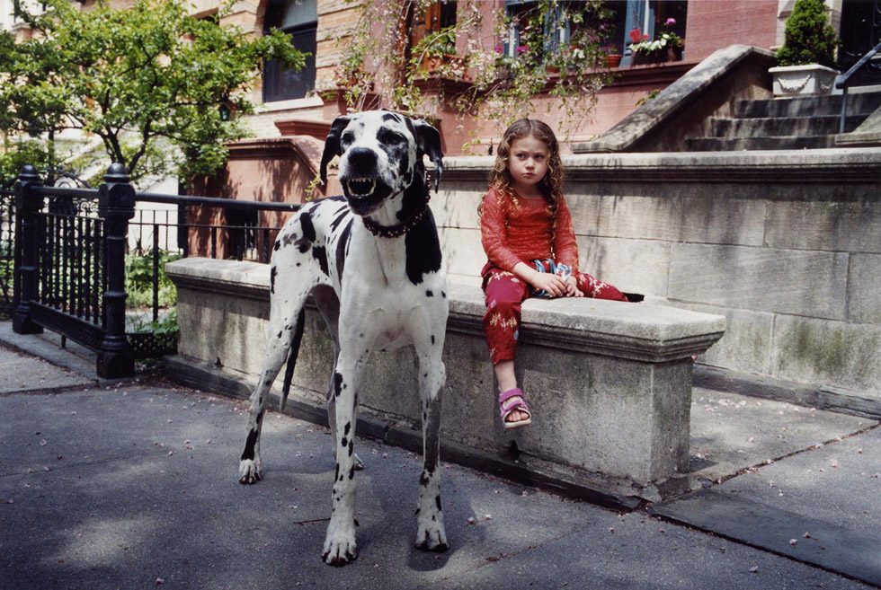 Robin Schwartz, Great Dane by 