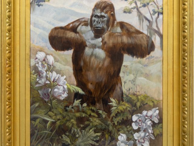A painting of a gorilla in a gilded frame.