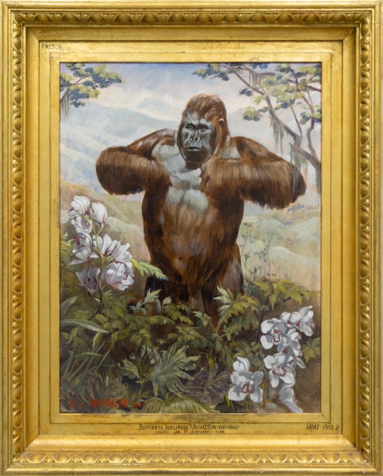 A painting of a gorilla in a gilded frame.