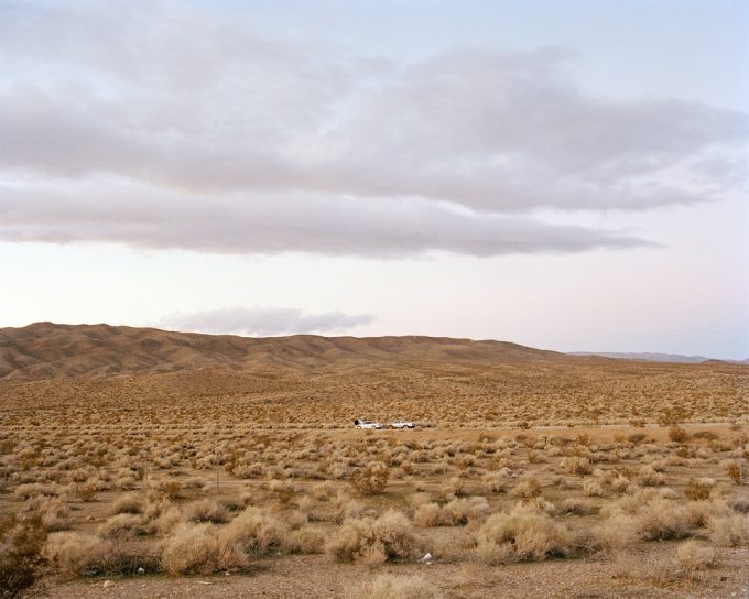 Amy Stein, Mojave Desert