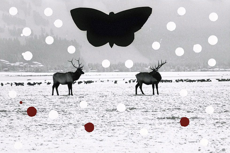 Winter Game by Stan Gaz