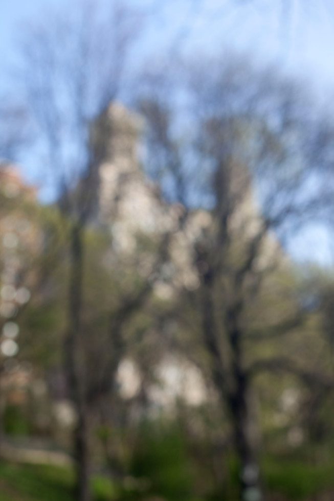 An out of focus photograph of two young trees with a large NYC apartment building in the background