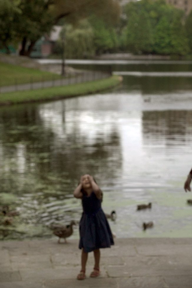 A soft focus photograph of a little girl wearing a dress, with her hands on her face, standing in front of a lake with ducks in the water