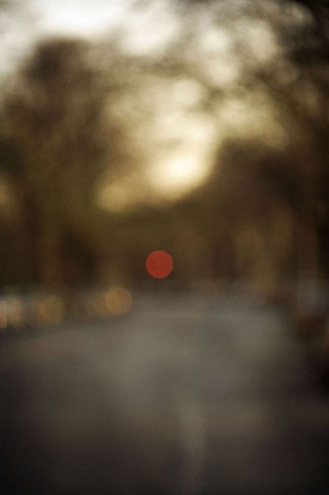 A very out of focus photograph of a tree lined path in the early morning light