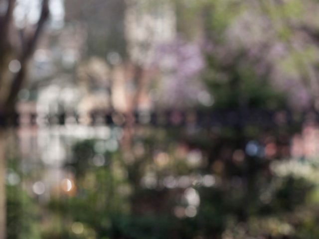 Landscapes/Cityscapes | CLAMP