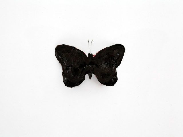 Stan Gaz, Butterfly 5