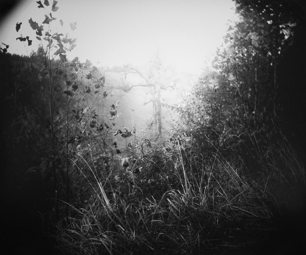 Untitled by Sally Mann