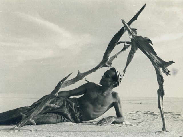 Monroe Wheeler lying under some driftwood on the beach