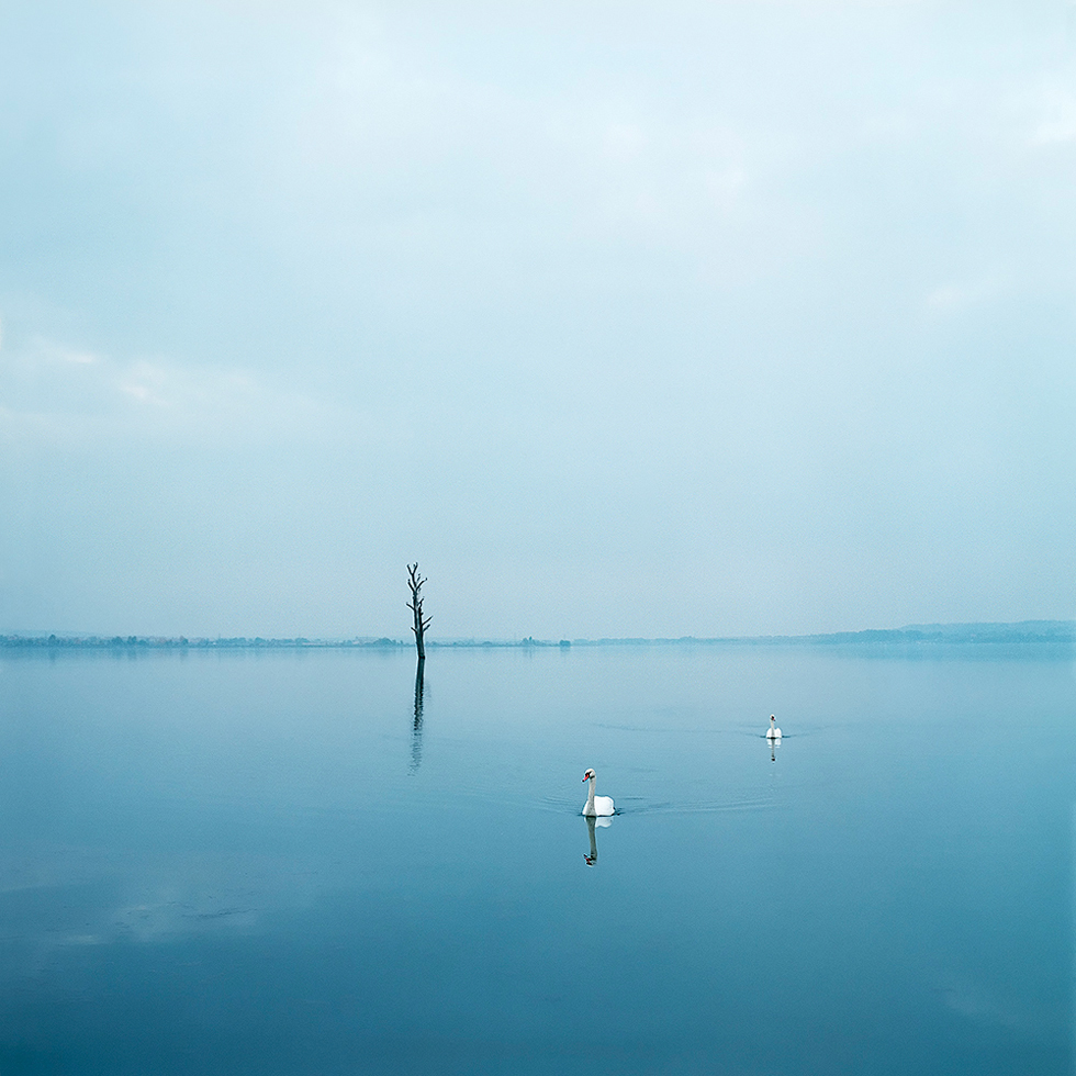 Untitled (Swans) by Evžen Sobek