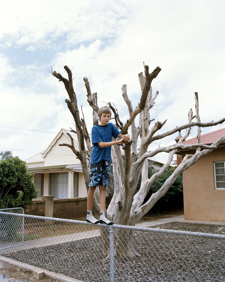 Boy with Tree by Amy Stein and Stacy Arezou Mehrfar