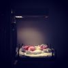 Jesse Burke reacts to Instagram’s new terms on the Time Magazine blog