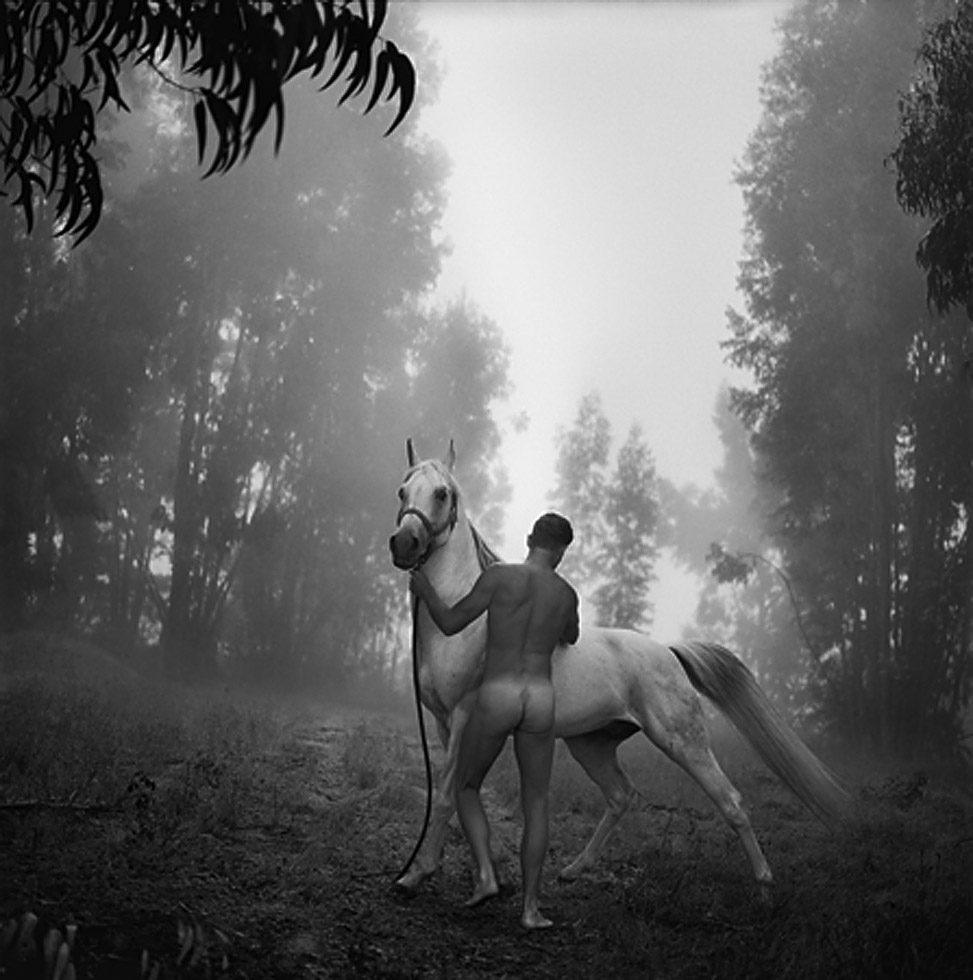 Groom with Arabian by Arthur Tress