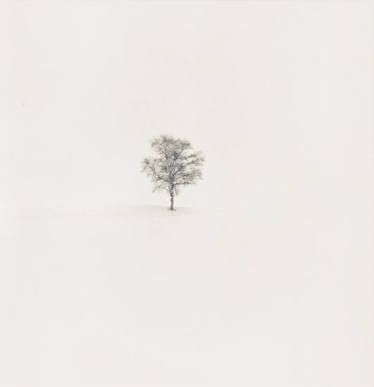 Michael Kenna, Field of Snow