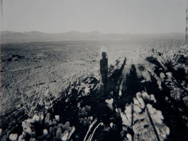 Mark Klett, Self Portrait with Saguaro