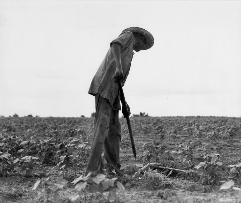 Negro Near Yayoo, Mississippi by Dorothea Lange