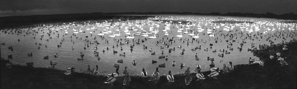 Martinmere, England by Pentti Sammallahti