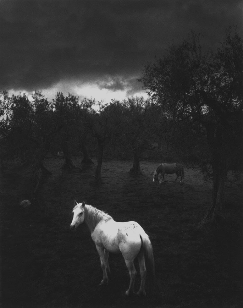 Cilento, Italy by Pentti Sammallahti