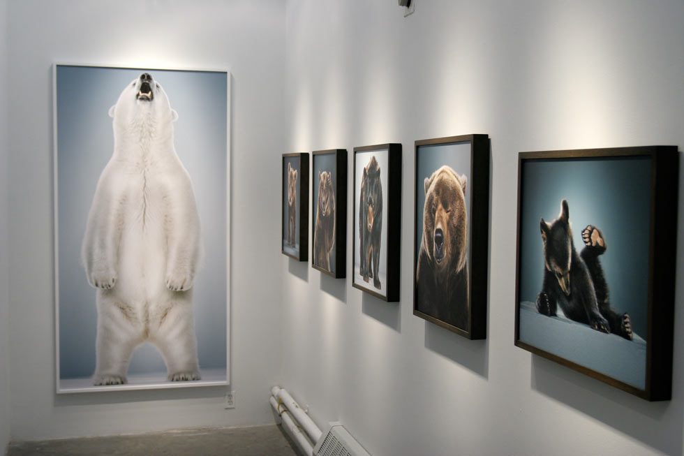 Exhibition Image by Jill Greenberg