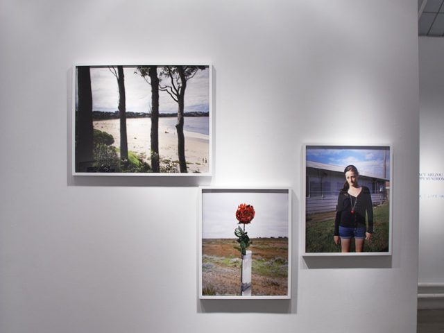 Amy Stein and Stacy Arezou Mehrfar, Tall Poppy Syndrome Exhibition