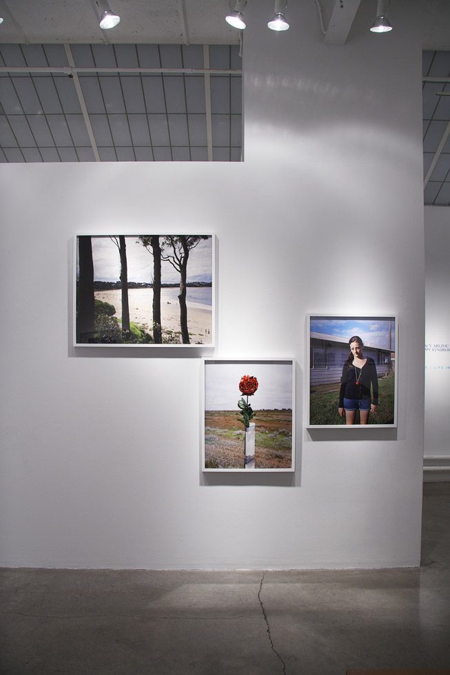 Exhibition Image Five by Amy Stein and Stacy Arezou Mehrfar