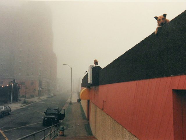 Jeff Mermelstein, Atlantic City