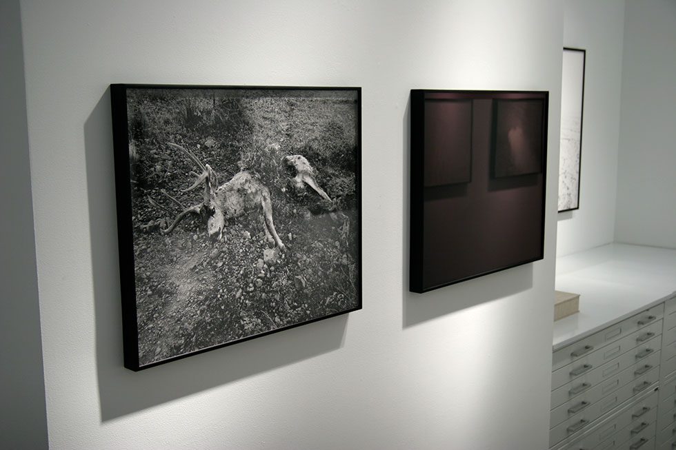 Exhibition Image Two by Michael Lundgren