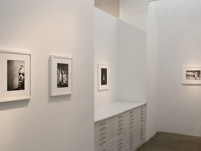 Amy Touchette, Exhibition Image