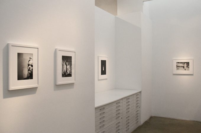 Amy Touchette, Exhibition Image